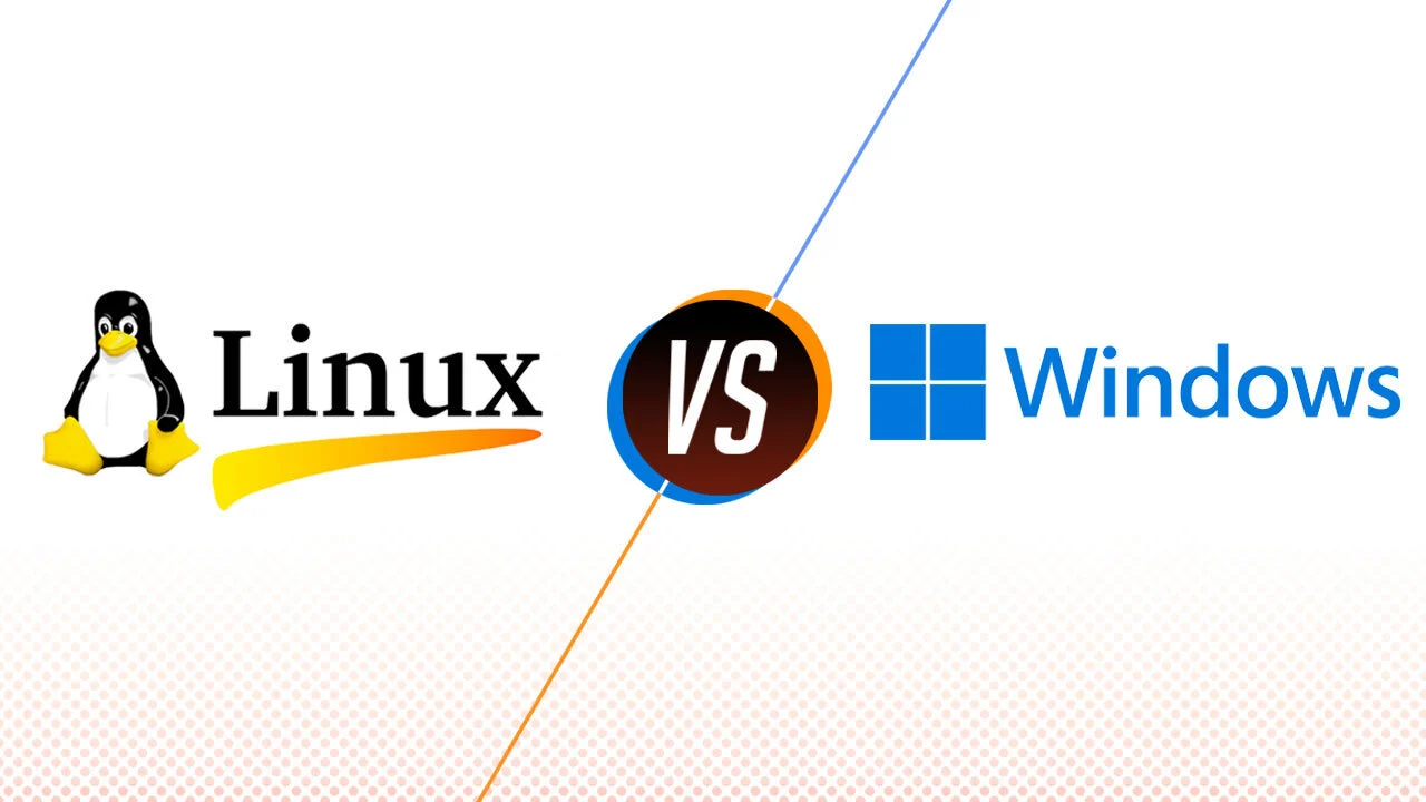 Linux and Windows Hosting