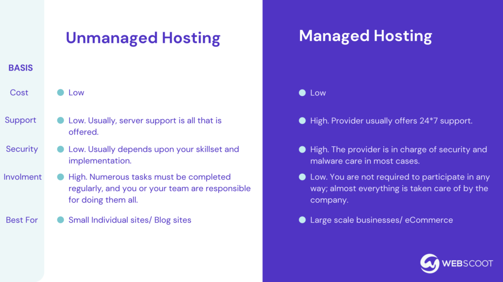 Unmanaged Web Hosting