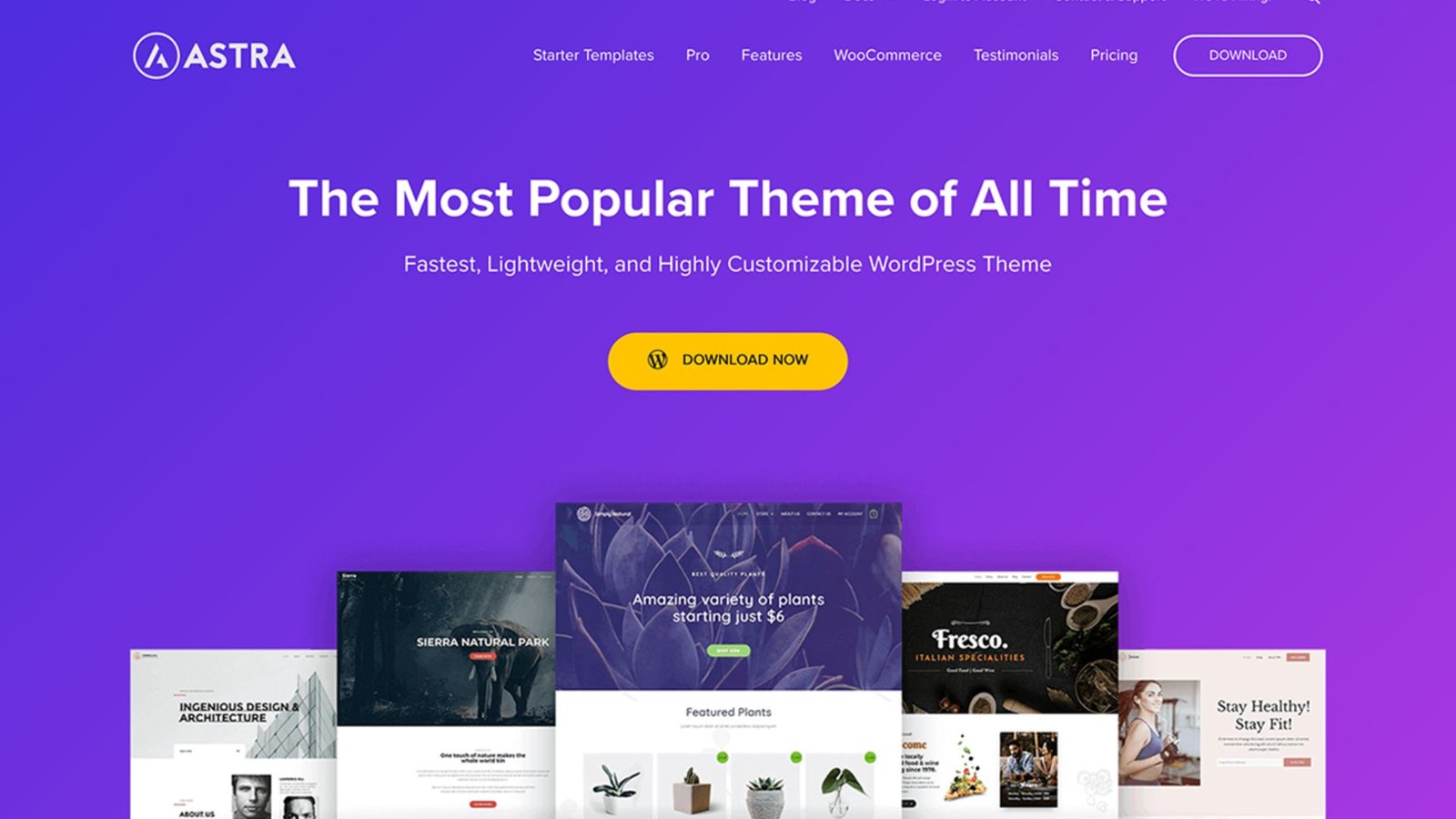 WordPress Themes for E-Commerce Sites